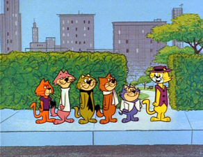 Top Cat (series), Top Cat Wikia