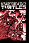 TEENAGE MUTANT NINJA TURTLES Issue #1