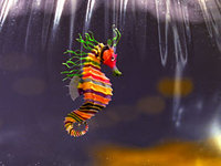 200px-life_aquatic_seahorse.jpg