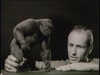 harryhausen_web_.JPG