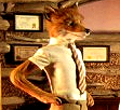 mrfox