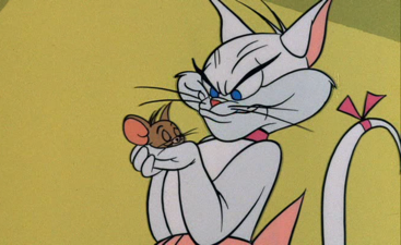 Tom and deals jerry white cat