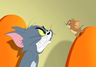 Tom & Jerry case study